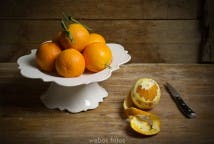 Variedades de naranjas