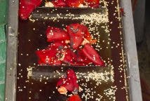 Camino de la segunda línea de procesado