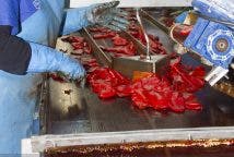 Clasificación y limpieza final