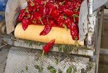 Del camión a la línea de producción