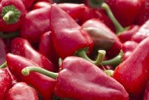 Pimientos de piquillo de Lodosa