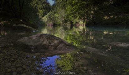 Nacedero del Urederra IV