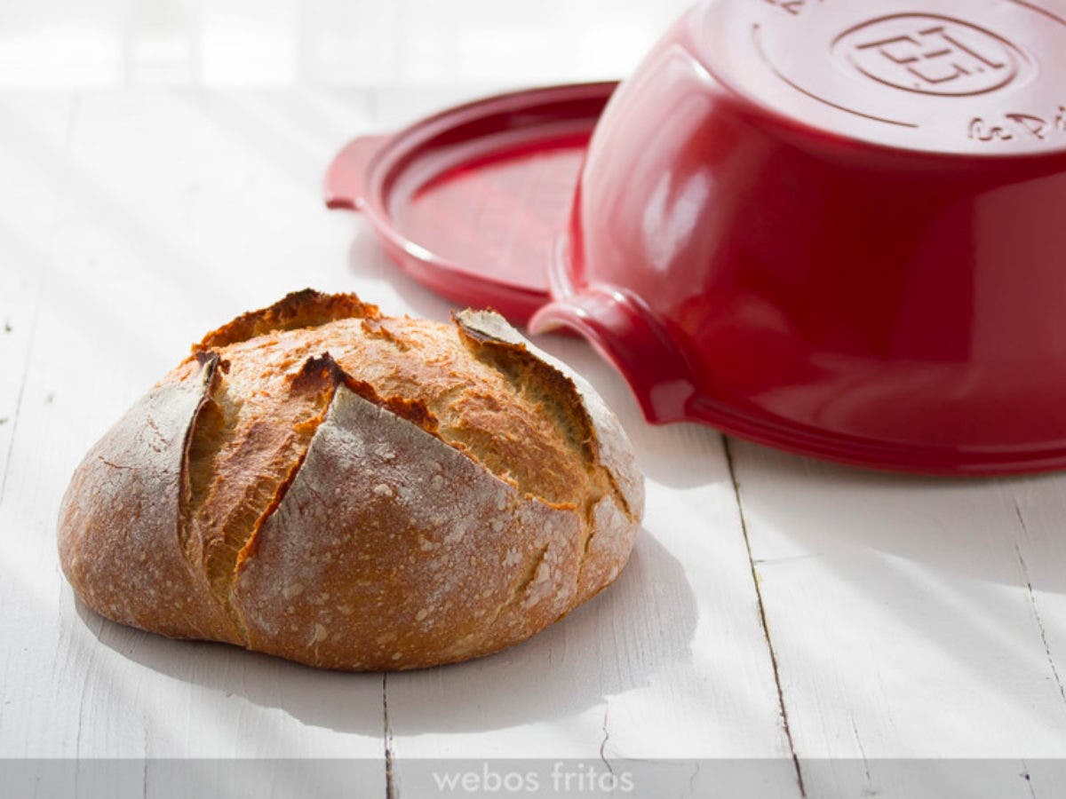 Asco cáscara esconder Hogaza de pan en campana cerámica — webos fritos