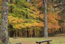 Subida a la laguna Negra I