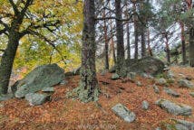 Subida a la laguna Negra II